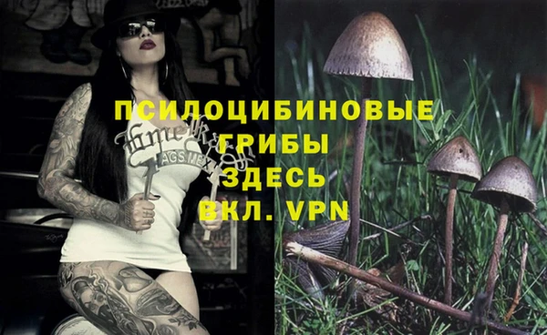 кокс Богданович