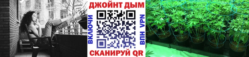 Марихуана конопля  Ачхой-Мартан 